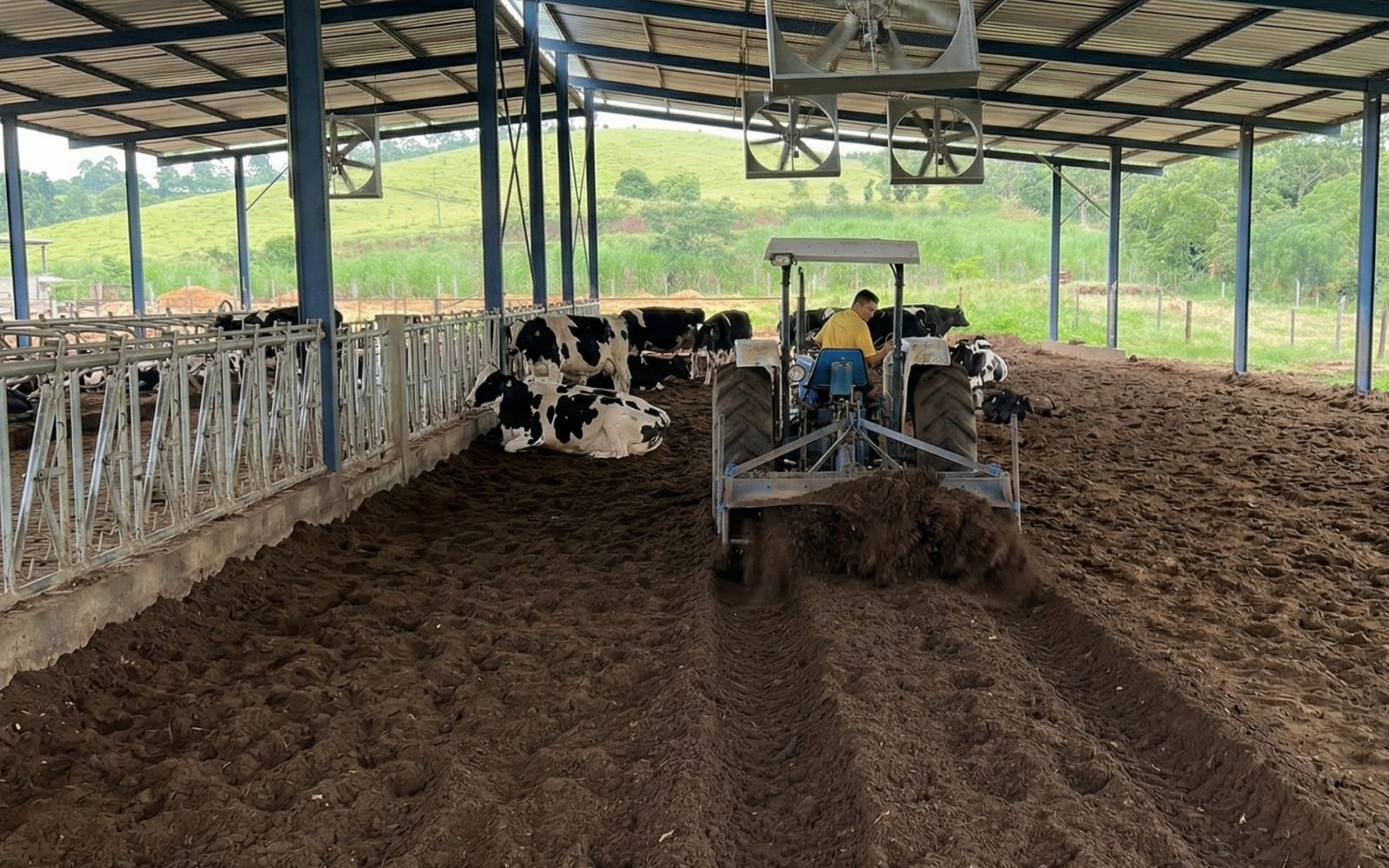 Manejo no confinamento: checklist compost barn e free-stall - Cia do Leite - Transformamos qualidade do leite e produtividade das fazendas